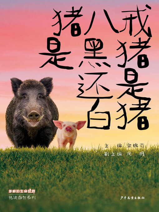 Cover image for 猪八戒是黑猪还是白猪